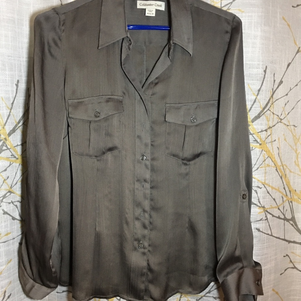 Coldwater Creek Shimmery Blouse
